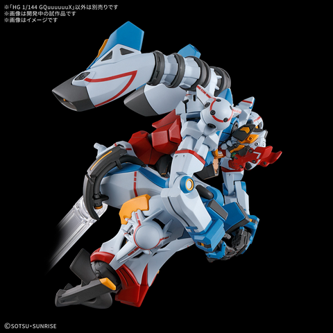 (1/144) HG GQuuuuuuX