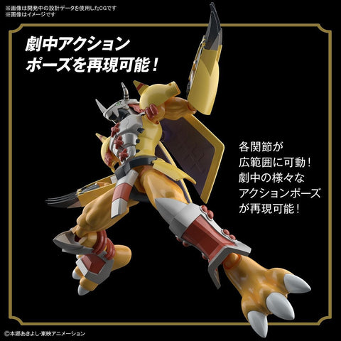 figure rise standard wargreymon