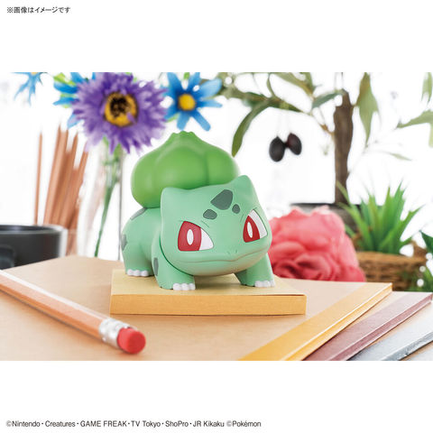 pokemon kit quick 13 bulbasaur