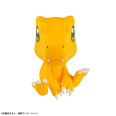 [PRE-ORDER] - [ETA Q2 2024] - Lookup Digimon Adventure Agumon