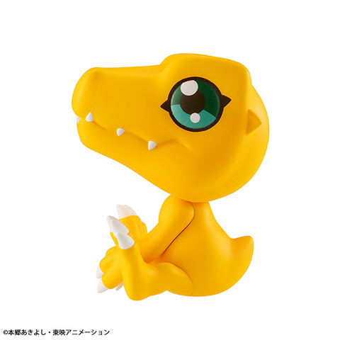 [PRE-ORDER] - [ETA Q2 2024] - Lookup Digimon Adventure Agumon