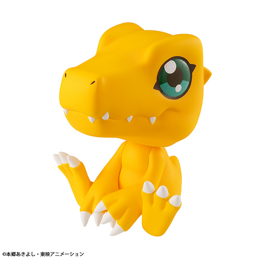 [PRE-ORDER] - [ETA Q2 2024] - Lookup Digimon Adventure Agumon