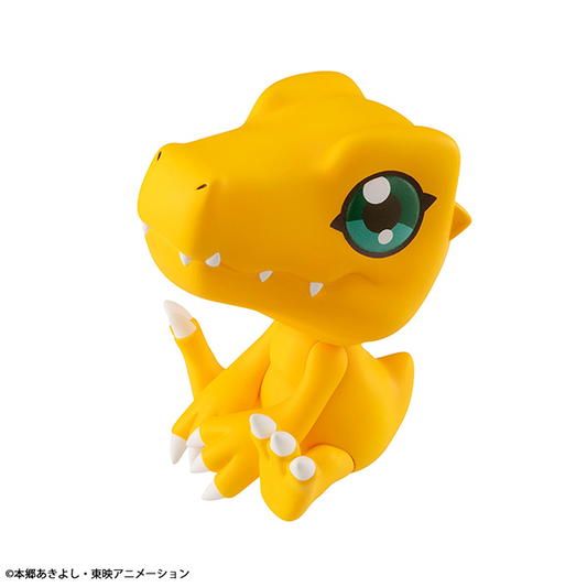 [PRE-ORDER] - [ETA Q2 2024] - Lookup Digimon Adventure Agumon