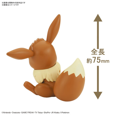 Pokemon Model Kit Quick!! 04 Eevee