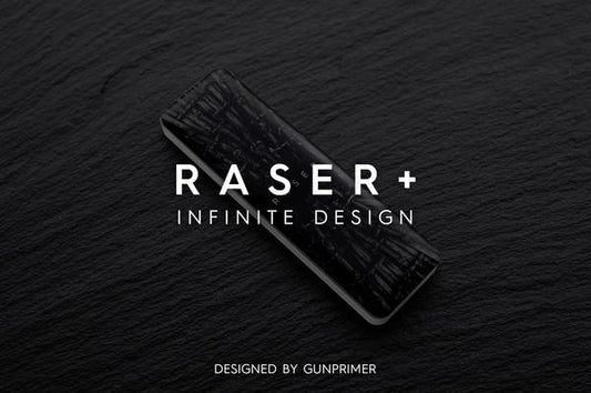 raser heavy duty gate remover