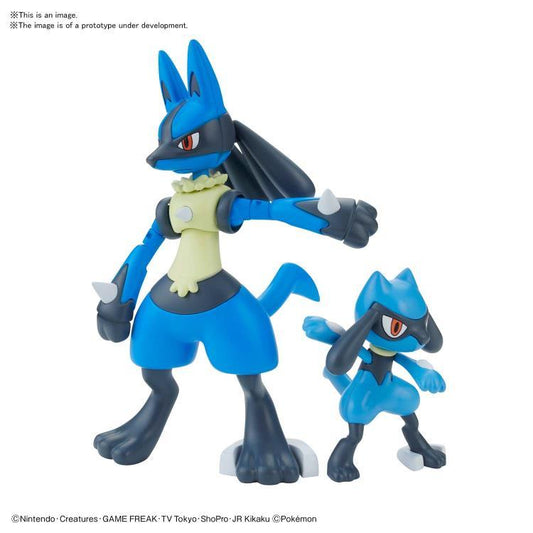pokemon riolu lucario